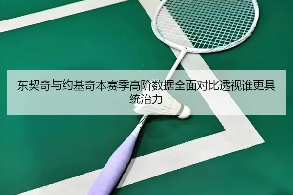东契奇与约基奇本赛季高阶数据全面对比透视谁更具统治力