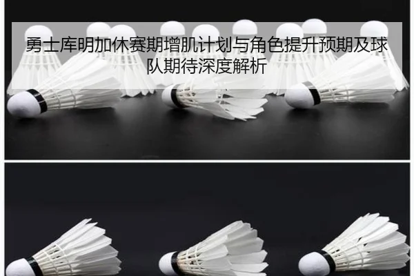 勇士库明加休赛期增肌计划与角色提升预期及球队期待深度解析
